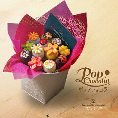https://thumbnail.image.rakuten.co.jp/@0_mall/tokinosumika/cabinet/chocolat/popkoukoku.jpg