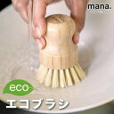 【4/18-4/20限定★P5倍】サイザル麻 エコブラシショート FSC認証(210-41)食器 洗い キッチン ブラシ 毛足2cm エコブラシ ショート 洗い...