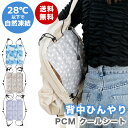 背中をひんやり!PCMクールシート(230-16)熱中症対策 リュックにつける PCMクーラー 大人 子供 保冷剤 オシャレ タイル:ランニッコ フローズンペタ...