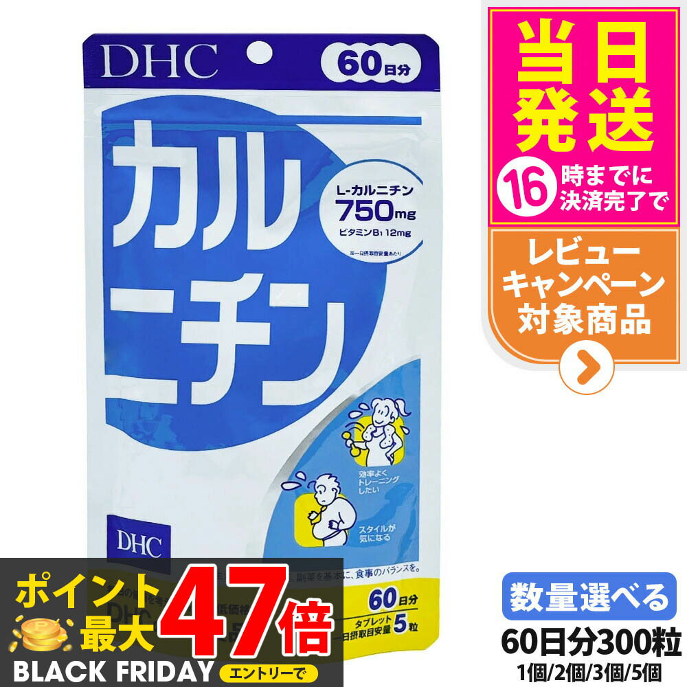 【賞味期限2028/03】ディーエイチシー DHC カルニチン 60日分 300粒 サプリメント ダイエット 健康食品..