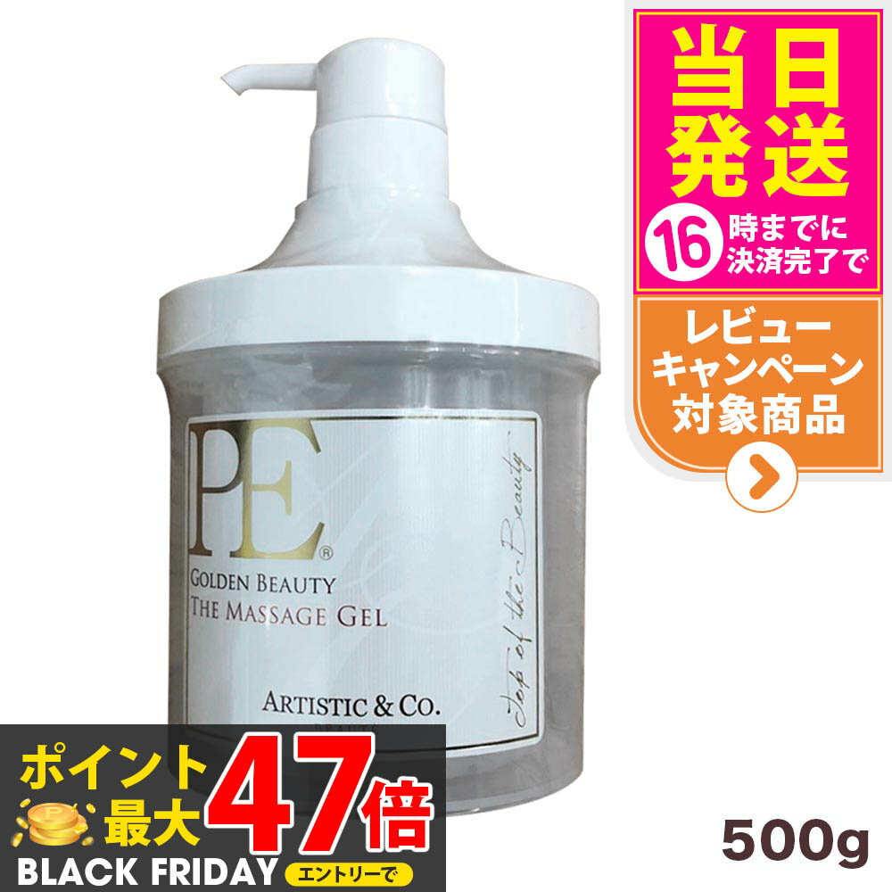 ڹʡۥƥƥå& PE ǥӥ塼ƥ ޥå̳ 500gARTISTIC&CO P.E ꡼ܥ꡼...