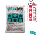 地の塩社 アルカリウォッシュ 50g 掃除 セスキ炭酸ソーダ 家庭用ソーダ アルカリウォッシュ セスキ炭酸ソーダ100% しつこいタンパク汚れにも