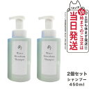 スーパーSALE セール 【99%OFFクーポン配布中 2個セット】EVERMERE エバメール ウォーターマイクロフォーム シャンプー 450ml 送料無料