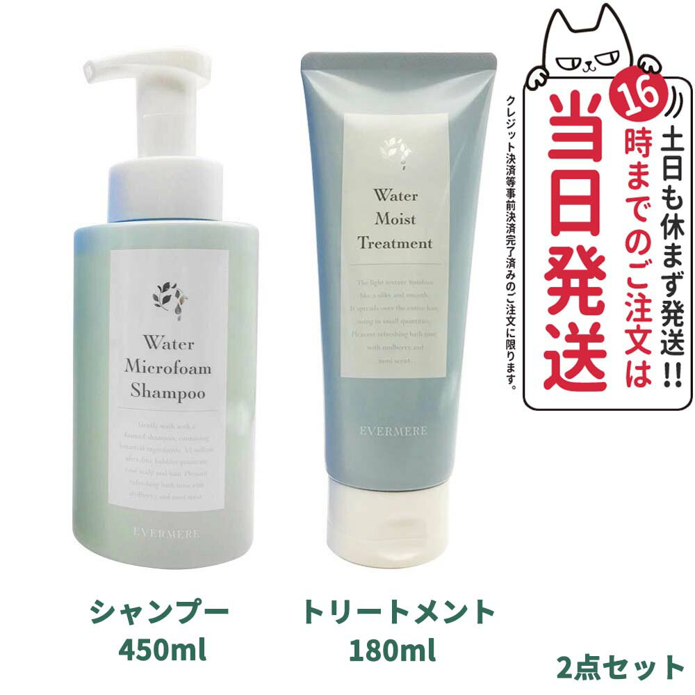 【2点セット】EVERMERE エバメール ウォーターマイクロフォーム シャンプー 450ml + ウォーターモイストトリートメント 180ml 低刺激 ヘアケア 送料無料