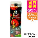 REVI ルヴィ酵素ドリンク400 1000mL ミックスベリーテイスト ファスティング REVI Enzyme Drink テイスト 大容量 酵素 栄養補給 おいしい 美味しい酵素 ヒアルロン酸 プラセンタ コラーゲン 贅沢 コスパ 乳酸菌 送料無料