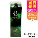REVI ルヴィ酵素ドリンク400 1000mL シークワーサー ファスティング REVI Enzyme Drink テイスト 大容量 酵素 栄養補給 おいしい 美味しい酵素 ヒアルロン酸 プラセンタ コラーゲン 贅沢 コスパ 乳酸菌 送料無料