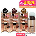 【カラー選べる 国内正規品】スーパーミリオンヘアー ヘアファンデーション 3g No.1 ブラック No.2 ダークブラウン No.3 ライトブラウン ルアン SMH 男性用 女性用 ヘアパウダー 白髪隠し 頭皮ケア 送料無料