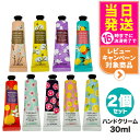 【選べる2個セット】the SAEM パフュームド ハンドエッセンス 30ml ライトエッセンス ボディケア 韓国コスメ 送料無料