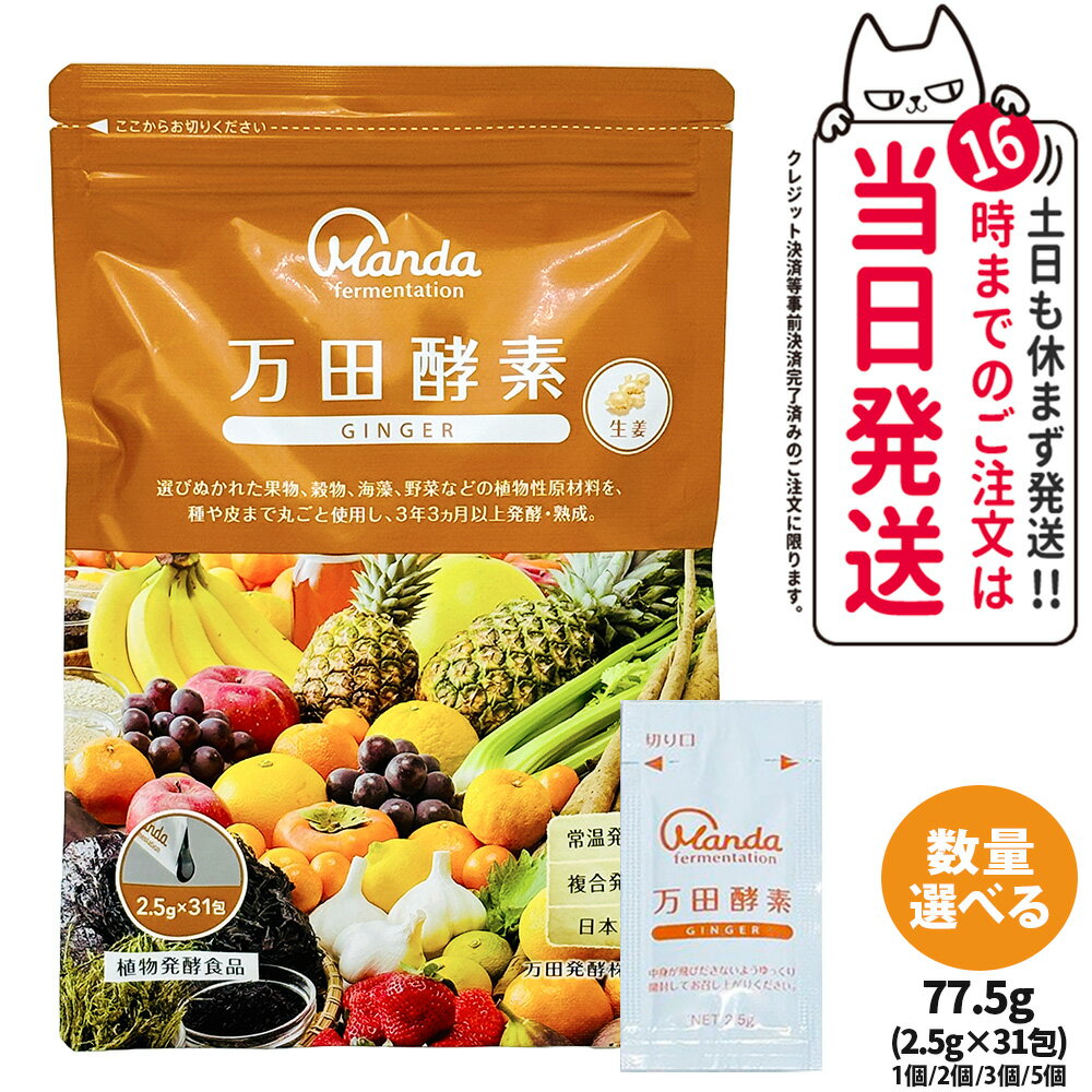 ڹʡĹ ڡȥ 󥸥㡼 GINGER ʬ 77.5g (2.5g31) GINGER ȯڿ ʪȯ...
