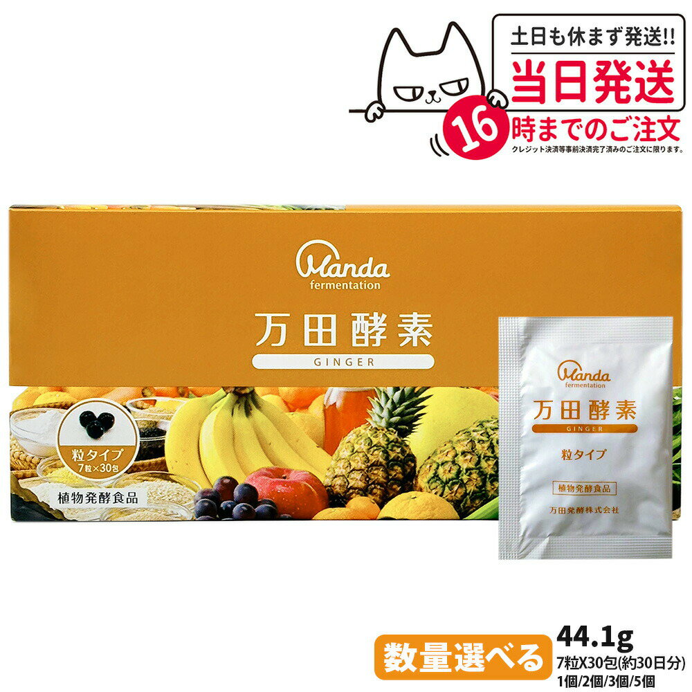 ڹʡĹ γ 󥸥㡼 ʬ 7γ30 30ʬ GINGER ȯڿ ʪȯ ǥץ ȯڹ ...