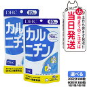 【賞味期限2028/03】ディーエイチシー DHC カルニチン 20日分 100粒 / 60日分 300粒 サプリメント ダイエット 健康食品 健康サプリ 健康応援 マルチサプリ 1/2/3/5個 送料無料