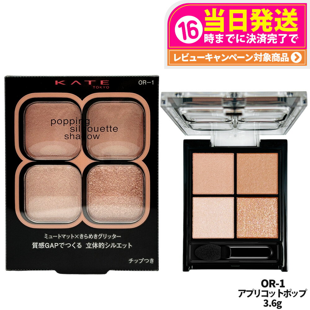 【国内正規品】KATE ケイト ポッピングシルエットシャドウ OR-1 アプリコットポップ 3.6g マット 立体的 アイシャドウ パウダー アイシャドウ カネ...