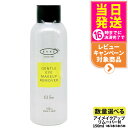 【国内正規品】EYEZ アイズ ピーエスインターナショナル アイズ ジェントルアイメイクアップリムーバー N 150ml 低刺激処方 メイク落とし リムーバー 目元専用リムーバー オイルフリー ローションタイプ まつ毛カール エクステ ホームケア 保湿 美容専売 サロン専売