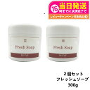 【2個セット 国内正規品】WOVE style ウォブスタイル フレッシュソープ 300g 業務用 洗顔料 石鹸 石けん スキンケア 送料無料