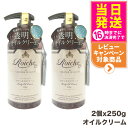 【2個セット】ロイーシェ ボディ オイルクリーム 250g Roiche ボディクリーム 保湿ケア 乾燥肌