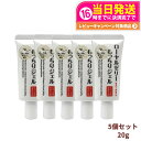 【5個セット 国内正規品】ローヤルゼリー もっちりジェル しっとりなめらか 20g オールインワン スキンケア 保湿 うるおい 送料無料