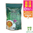 【賞味期限2027/01 追跡あり】エステプロラボ Gデトック ハーブティー プロ 30包(4g×30包)Esthe Pro Labo ダイエット スッキリ 天然素材 おいしい オーガニック ハーブティー 国内正規品 全国送料無料