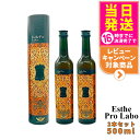 【2本セット 賞味期限2026/10】エステプロラボ ハーブザイム113 グランプロ ジンジャー 500ml Esthe Pro Labo エステプロラボ 酵素ドリンク ファスティングダイエット 国内正規品 送料無料