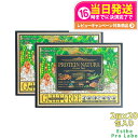 【賞味期限2026/08・2個セット】エステプロラボ プロテインナチュラ グランプロ オーツ黒ごまきな粉 29.3g×20袋×2 Esthe Pro Labo ...