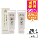 【2個セット 国内正規品】 Direia ディレイア ステム コンセントレイト BBクリーム プロ 40g イエローベース 送料無料