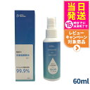 電解式 次亜塩素酸水(じあえんそさんすい) スプレー 60ml(1本入り) 在庫処分
