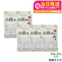 【5袋セット】白元アース マスク ビースタイル プリーツタイプ ふつうサイズ プレミアムホワイト5枚入×5 小顔に魅せる 送料無料
