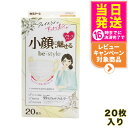 白元アース ビースタイル プリーツタイプ 小顔に魅せる ふつうサイズ 【プレミアムホワイト 20枚入】 女性用マスク 送料無料