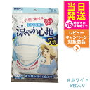 白元アース ビースタイル プリーツタイプ 涼やか心地 【ホワイト】 5枚入 マスク 送料無料