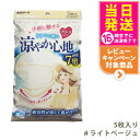 白元アース ビースタイル プリーツタイプ 涼やか心地 【ライトベージュ】5枚入 マスク 送料無料