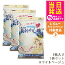 【3個セット】白元アース ビースタイル プリーツタイプ 涼やか心地 【ライトベージュ】5枚入 マスク 送料無料