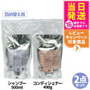 【国内正規品・リフィル2点セット】POLA ポーラ フォルム FORM シャンプー リフィル 500mL +コンディショナー(ふんわりタイプ) リフィル 490g 日本製 詰め替え用 送料無料