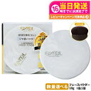 【国内正規品】 EXCEL エクセル ラスタリングシアーパウダー 10g プレストパウダー フェイスパウダー 立体感 オリジナルブラシ ミラー付き コンパクト ...