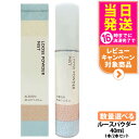 【国内正規品】アルビオン ALBION ルースパウダー ミスト 40ml 1本/2本セット ミストタイプ フェイスパウダー スキンケア 送料無料