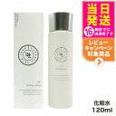【リニューアル】LNC トーニング ローション 120ml 化粧水 ビタミンC 誘導体 送料無料