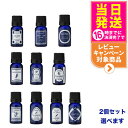 【2個セット】GPP アロマエッセンス ブルーラベル アロマオイル ブレンド系 エキゾチック系 各8mL アロマ 加湿器 選べる 送料無料