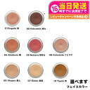 【国内正規品】オサジ ニュアンス フェイスカラー 5.5g カラー選べます OSAJI 送料無料