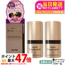 【2個セット 国内正規品】アデランス ヘアプラス ビューファンデパウダー ダークブラウン 8g Aderans 白髪隠し 薄毛隠し 白髪染め 白髪かくし 白髪フ...