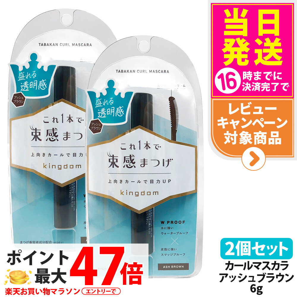 【2個セット 国内正規品】キングダム 束感カールマスカラ アッシュブラウン 6g 束感まつげ ウォータープルーフ スマッジプルーフ 保湿 補修 美容液 マスカラ Kingdom 黒龍堂 送料無料
