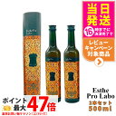 【2本セット 賞味期限2026/10】エステプロラボ ハーブザイム113 グランプロ ジンジャー 500ml Esthe Pro Labo エステプロラボ 酵素...