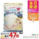 白元アース ビースタイル プリーツタイプ 涼やか心地 【ライトベージュ】5枚入 マスク 送料無料