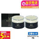【26日01:59までエントリーでP5倍】【2点セット 国内正規品】MTメタトロン ステムアイクリーム 20g MTメタトロン化粧品 目元 口元 まぶた 乾燥 ...