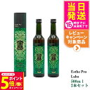 【26日01:59までエントリーでP5倍】【2本セット・賞味期限2026/09】エステプロラボ 酵素 エステプロラボ ハーブザイム 113 グランプロ プレーン 500ml Esthe Pro Labo 国内正規品