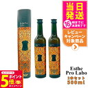 【26日01:59までエントリーでP5倍】【2本セット 賞味期限2026/10】エステプロラボ ハーブザイム113 グランプロ ジンジャー 500ml Esth...