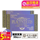 【26日01:59までエントリーでP5倍】【2個セット ポスト投函 賞味期限2027/04】エステプロラボ プラセンタヴィスグランプロ 30粒入X2個 ESthe pro labo サプリメント 国内正規品 送料無料