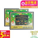 【26日01:59までエントリーでP5倍】【賞味期限2026/08・2個セット】エステプロラボ プロテインナチュラ グランプロ オーツ黒ごまきな粉 29.3g×20袋×2 Esthe Pro Labo 送料無料