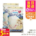 【26日01:59までエントリーでP5倍】【2個セット】白元アース ビースタイル プリーツタイプ 涼やか心地 【ライトベージュ】5枚入 マスク 送料無料