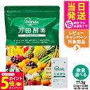 【26日01:59までエントリーでP5倍】【国内正規品】万田酵素 ペーストタイプ スタンダード STANDARD 分包 77.5g (2.5g×31包) 自然発酵食品 植物発酵 酵素サプリ 発酵酵素 健康食品 食生活 ヘルシー サプリメント 1/2/3/5個 送料無料