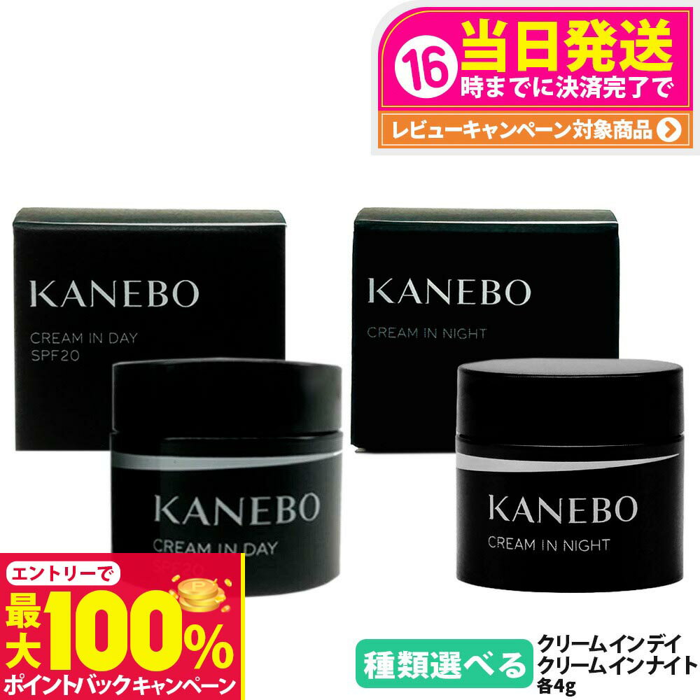 【抽選で最大100%ポイントバック】