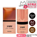 【カラー選べる 2本セット 国内正規品】スーパーミリオンヘアー ヘアファンデーション 12g No.1 ブラック No.2 ダークブラウン No.3 ライトブラ...