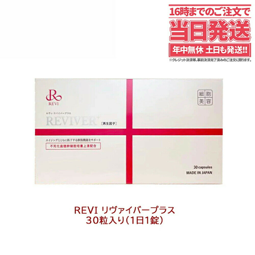 【賞味期限2025/07】REVI ルヴィ ルヴィ リヴァイ